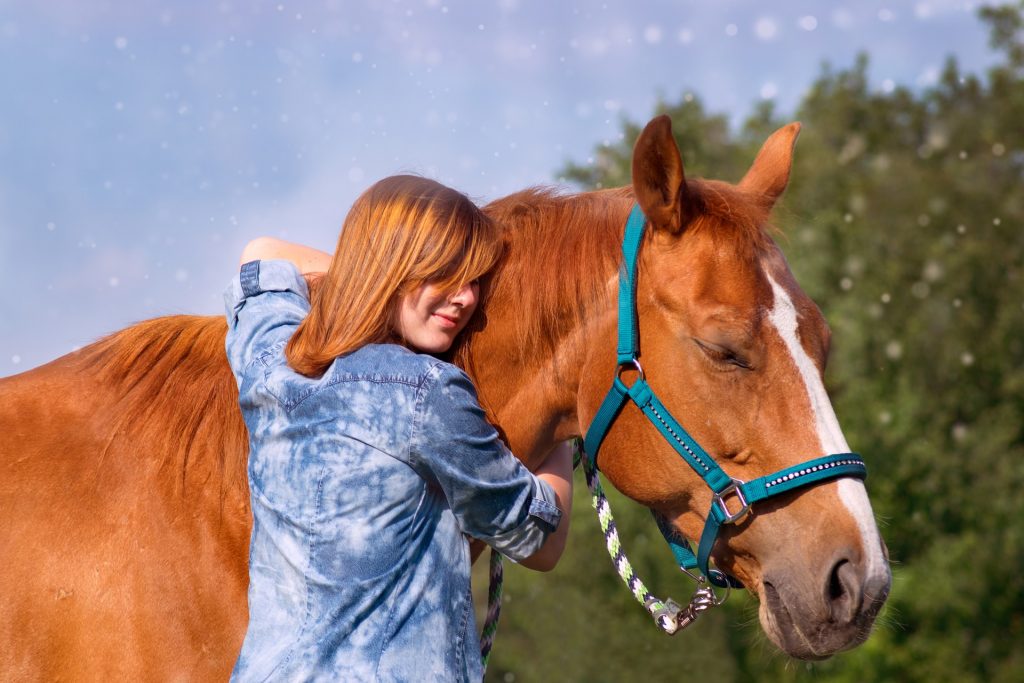 Wunderpferd, Reiten ohne Angst durch wingwave