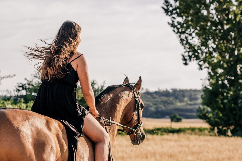 Wunderpferd, Angstfrei reiten durch wingwave